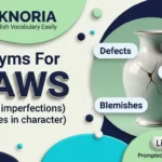 Synonyms for Flaws