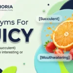 synonyms for juicy