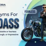 synonyms for badass