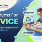 synonyms for novice