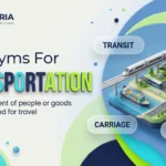 synonyms for transportation